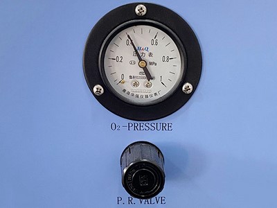 Concentrateur d’oxygène 10L