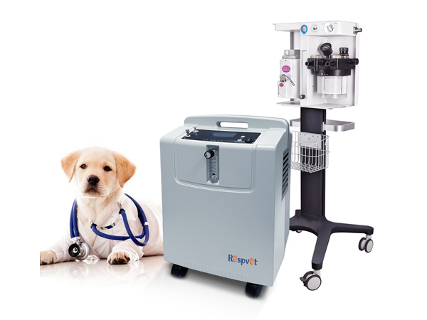 Concentrateur d'oxygène vétérinaire
